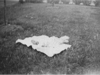1940051002 Charles DePaepe