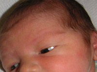 2006085003a Carson O'Brien