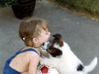 1972061003 Darla Hagberg & Poodles - East Moline IL