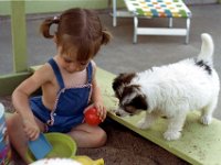 1972061004 Darla Hagberg & Poodles - East Moline IL