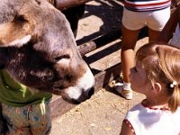 1972081006 Darla Hagberg - Brookfield Zoo - Chicago IL
