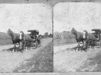 1910071001 Jamieson Horses
