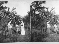 1910071001 Lily Lound Jamieson  on right & son -stereo