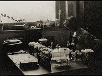 1915071002a Clara Jamieson 1879-1971