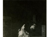 1937129504 Teddy Jamieson