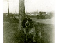1937129505 Teddy Jamieson
