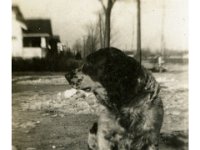 1937129502 Teddy Jamieson