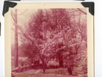 1955055001 Lewis Weld - Clara Jamieson's Husband - Moline - IL