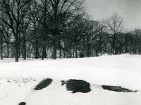 1957122006 Wallace Jamieson Home - Old Jamiesopn Homestead - Moline IL