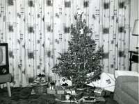 1957122007 Wallace Jamieson Home - Old Jamiesopn Homestead - Moline IL