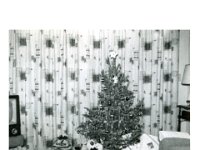 1957122007a Wallace Jamieson Home - Old Jamiesopn Homestead - Moline IL