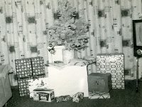1957122009 Wallace Jamieson Home - Old Jamiesopn Homestead - Moline IL