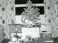 1959122004 Wallace Jamieson Home - Old Jamieson Homestead - Moline IL