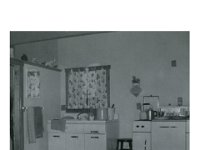 1959122008 Wallace Jamieson Home - Old Jamieson Homestead - Moline IL