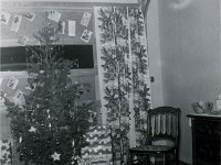 1959122012 Wallace Jamieson Home - Old Jamieson Homestead - Moline IL