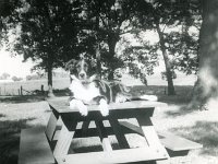 1963092001 Wallace Jamieson Home - Old Jamiesopn Homestead - Moline IL