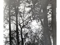 1947121003 Betty McLaughlin - Moline IL