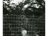 1948091001 Bill McLaughlin - Cleveland IL