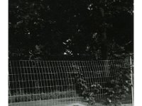 1948091002  Betty McLaughlin - Cleveland IL