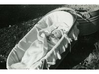 1949111002 Bonnie McLaughlin - Moline IL
