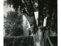 1950101002 Bill McLaughlin - Moline IL