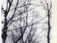 1951121001 Franklin & Virginia McLaughlin - Moline IL