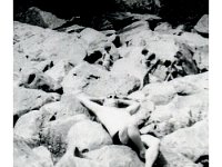 1965072010 Irvin McLaughlin - Devils Lake WI