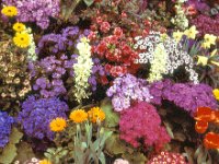 1970041001 Vandeveer Park - Davenport IA