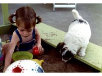 1972071002 Darla Hagberg East Moline IL