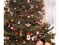 1977121008 Darla Hagberg - Darin Wray  Moline IL