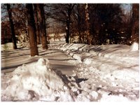 1979011002 Irvin & Lorraine McLaughlin Home - Moline IL