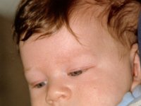1980042004 Andy Dexter- Moline IL
