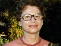 1980097004a