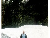 1983061005 Irvin McLaughlin - Sequoia Nat Pk CA