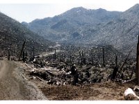 1987071008 Mount St Helena