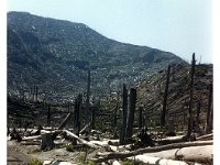 1987071011 Mount St Helena
