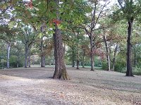 20151010 173938